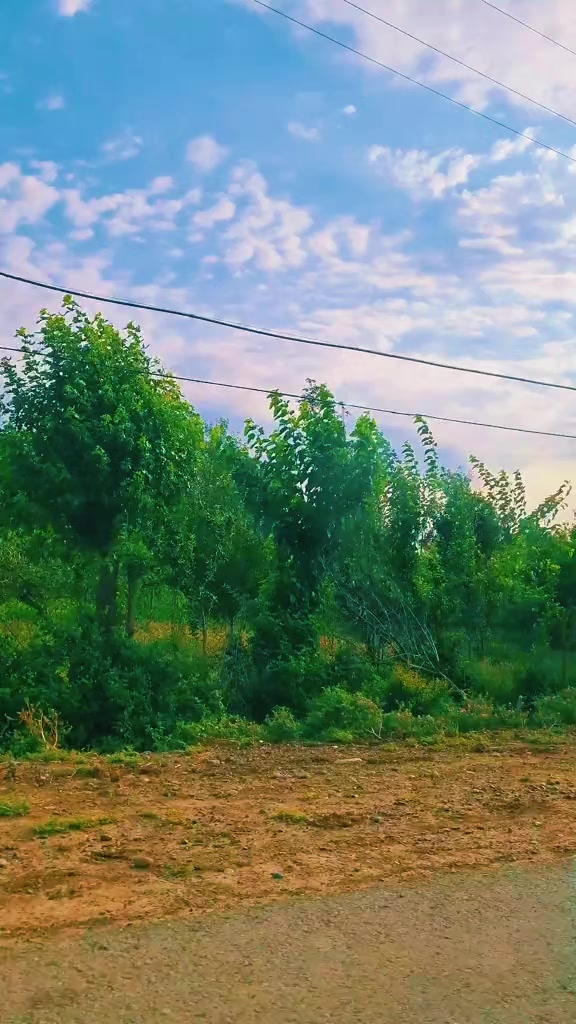 @BİLƏSUVARLI QIZ❤️🇦🇿