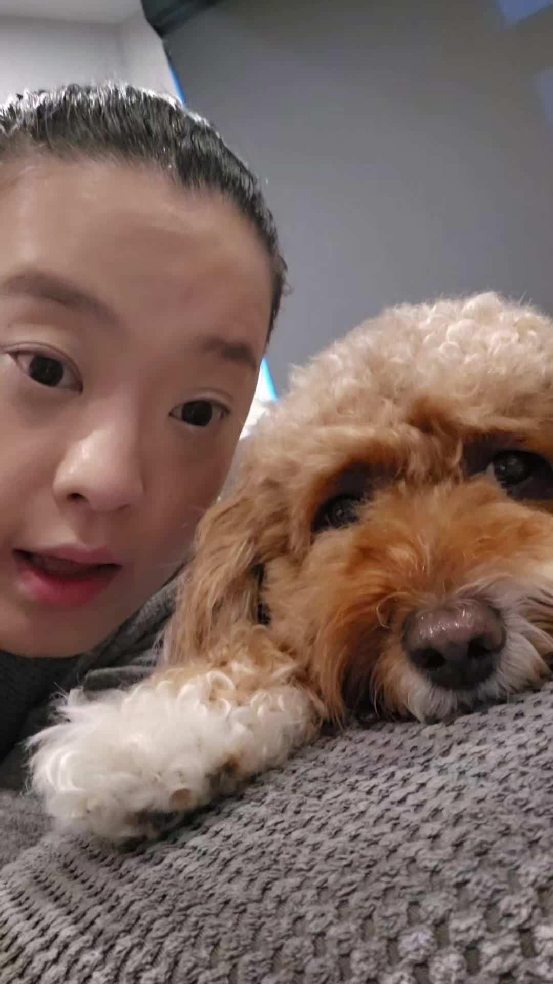 @Waffle | Pet Creator + UGC