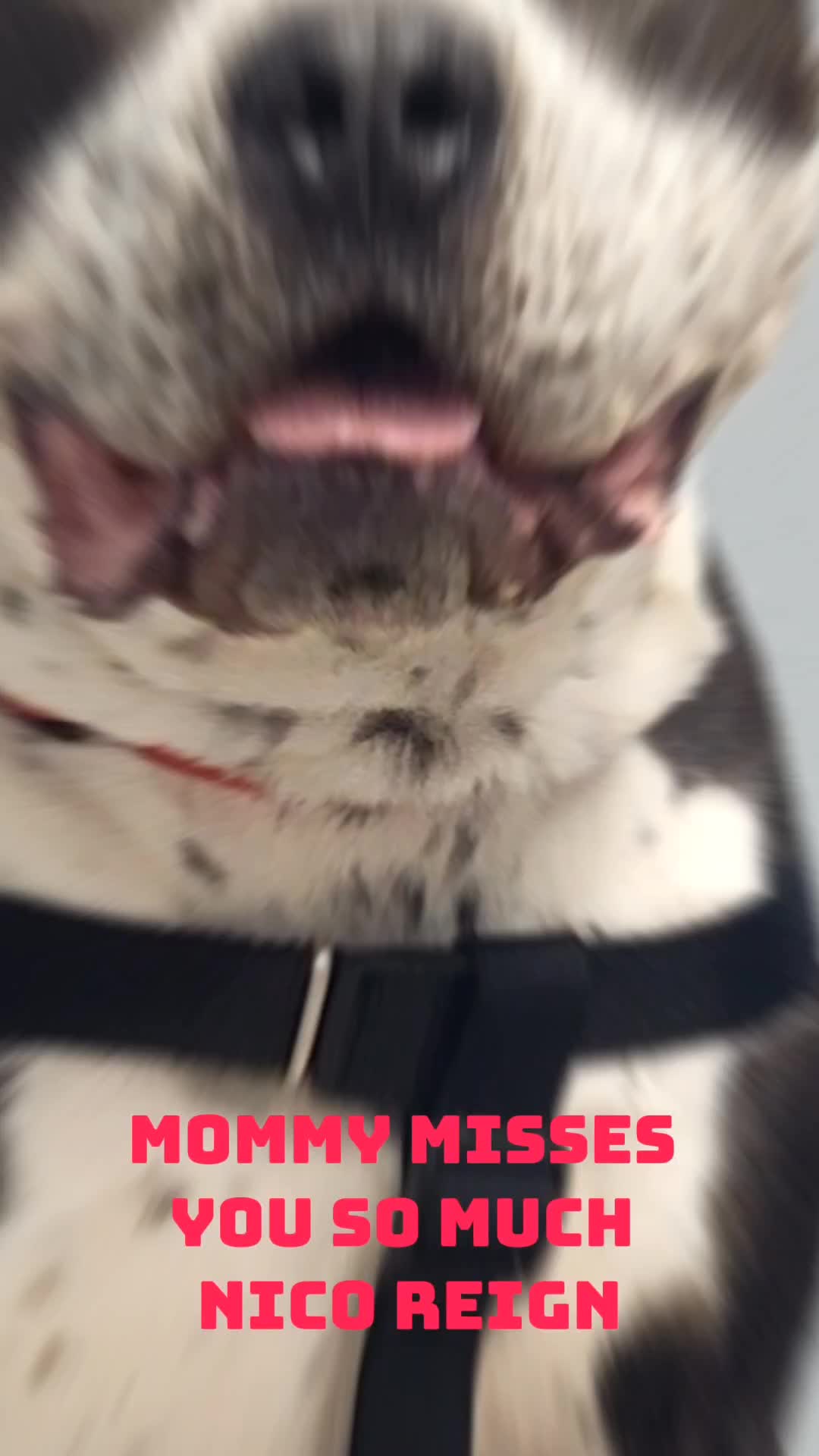 @ððð¥ðð±ð
ðŠð±ð ð¥_ððªð¶ð