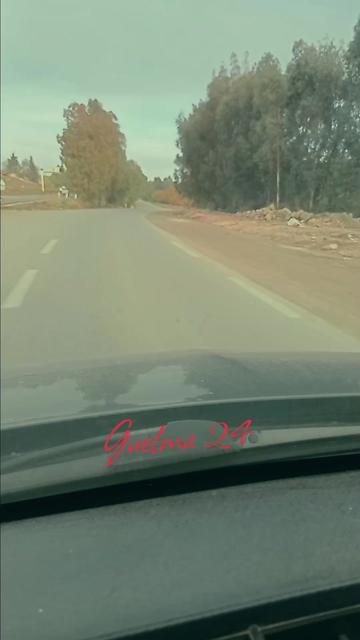 @Guelma 24🇩🇿