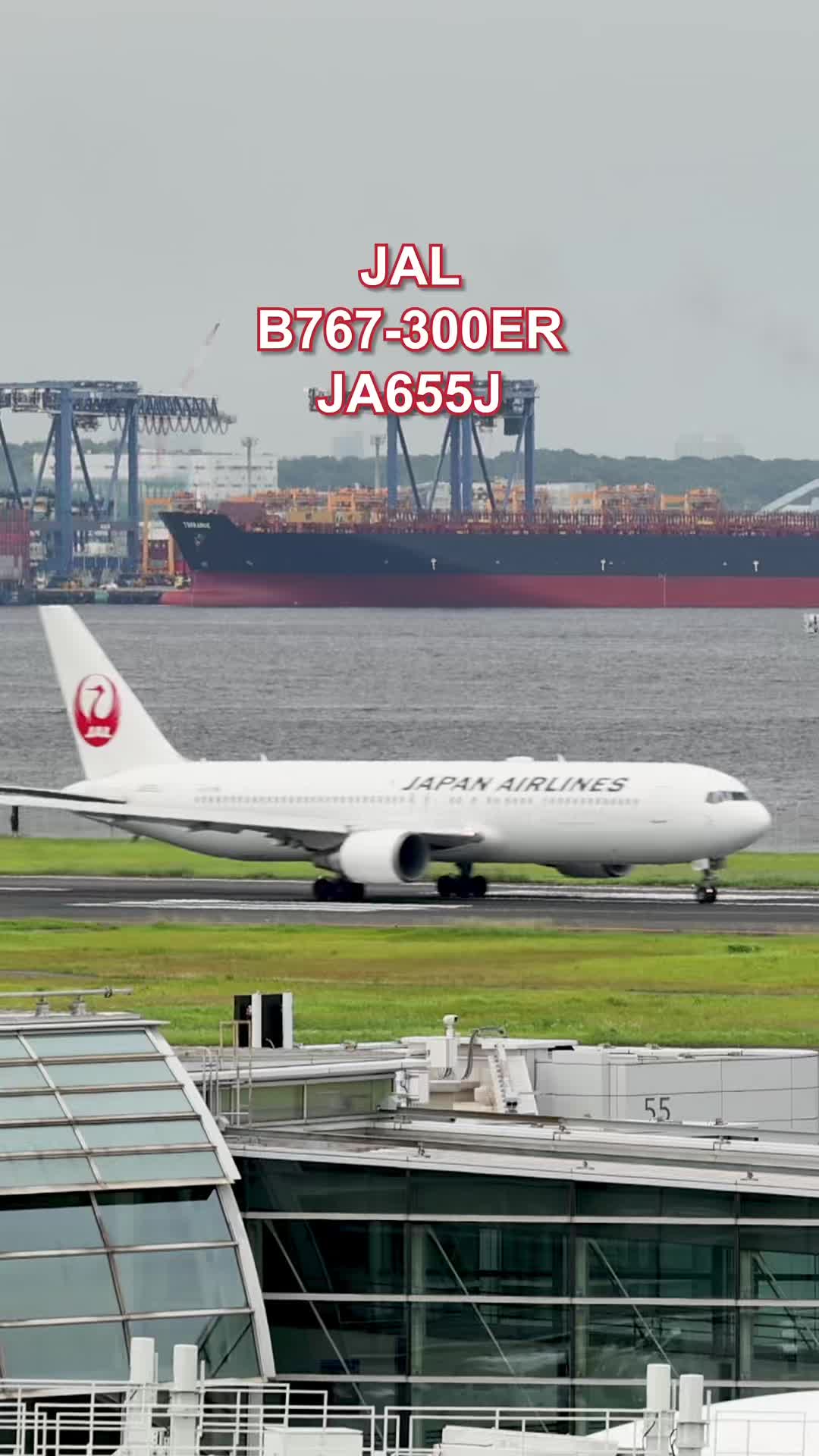@Skyline だ〜はね|Haneda Airport ✈️