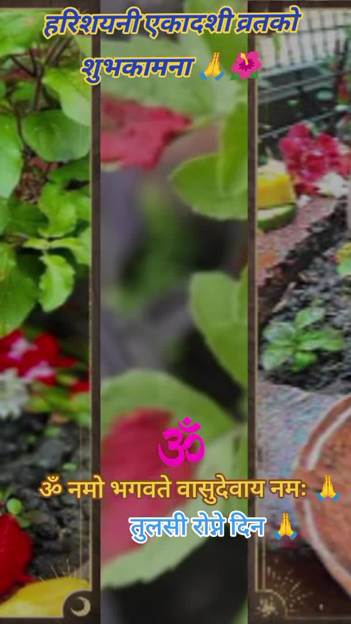 @Shanta_Poudel
