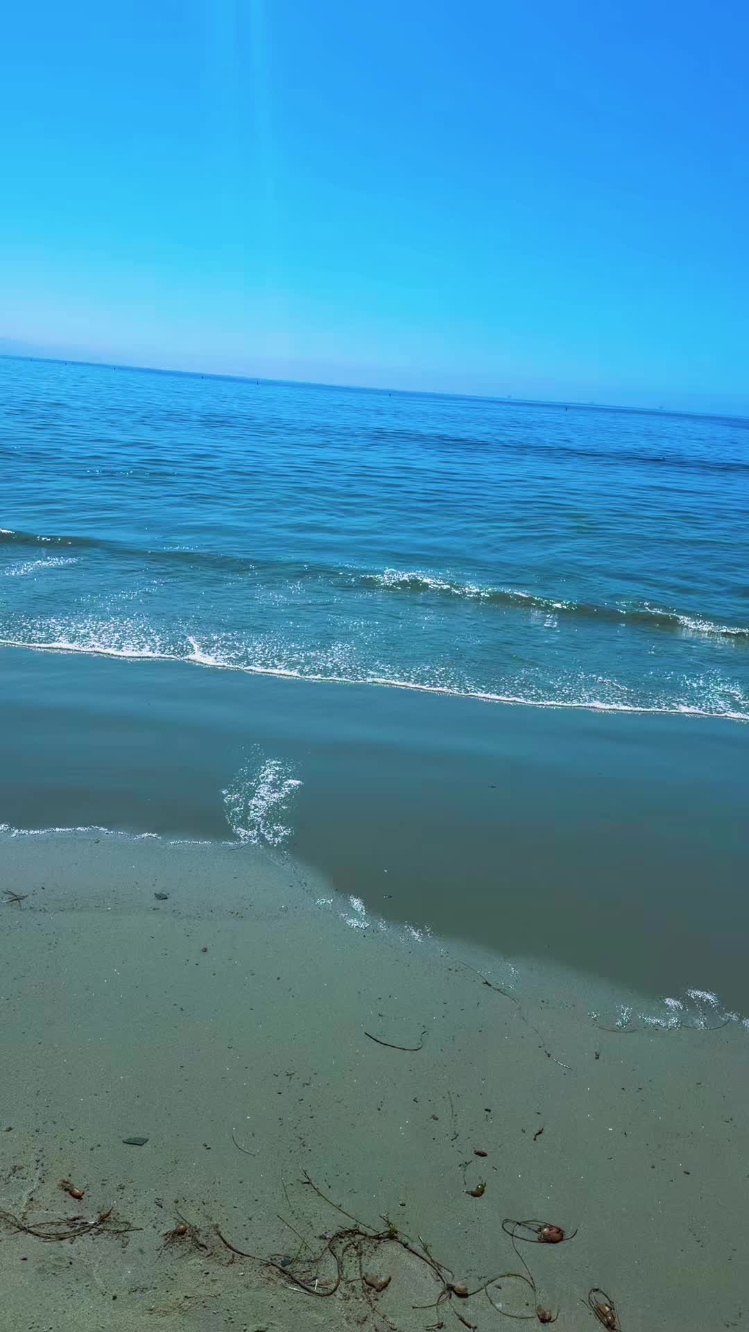 @🖤𝒞𝒽𝑒𝓁𝒶 𝓂𝑒𝓃𝒹𝑒𝓏🎀