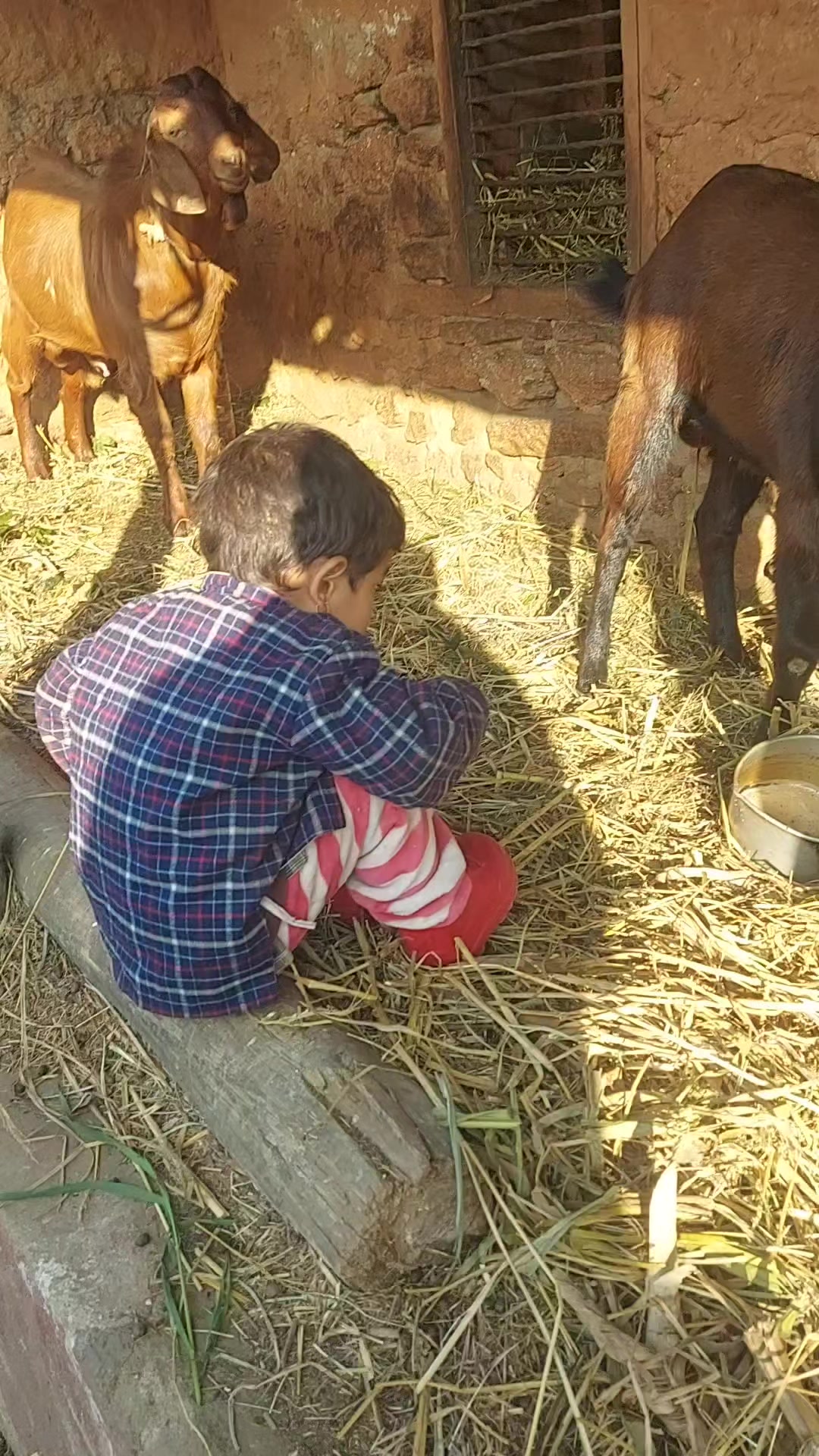 @राजु नेपाल