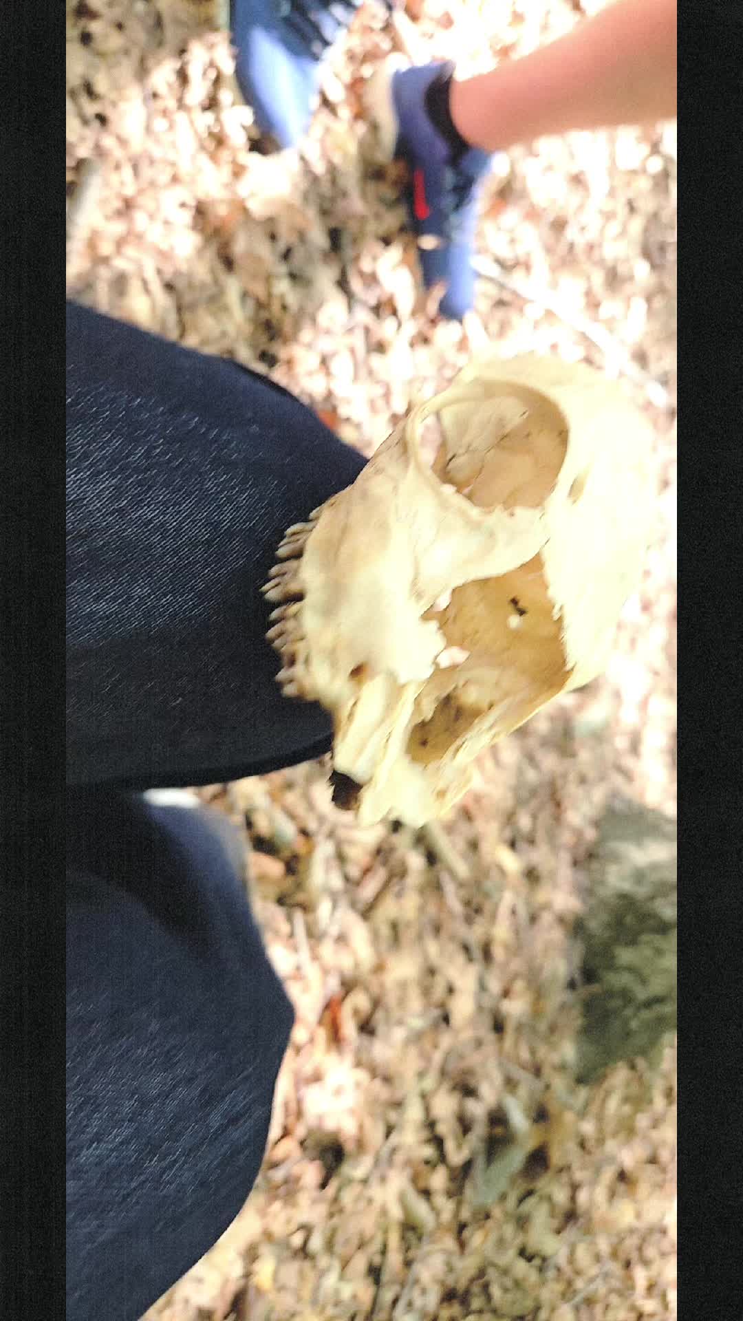 @✘