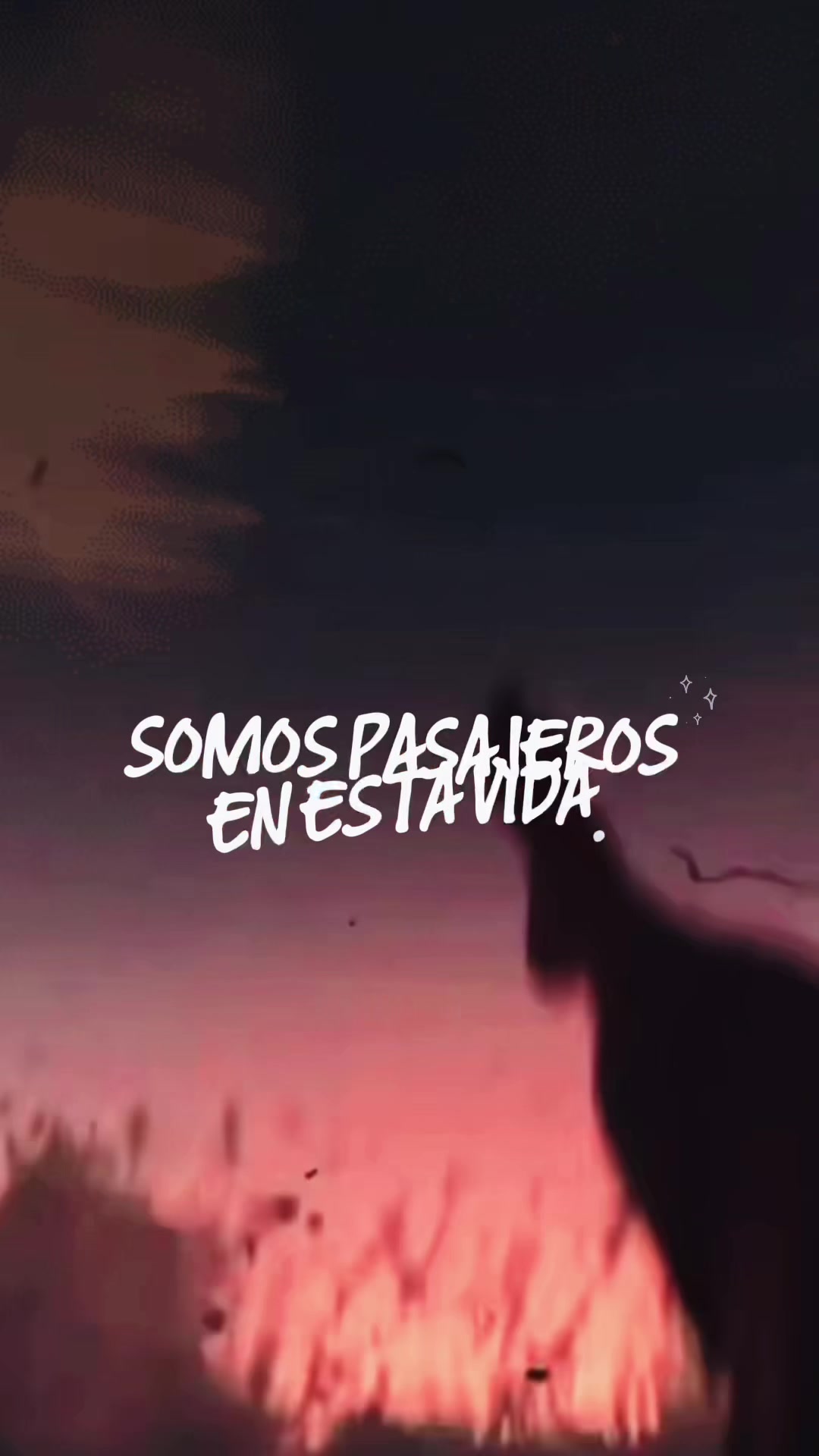 @CJ Reflecziones