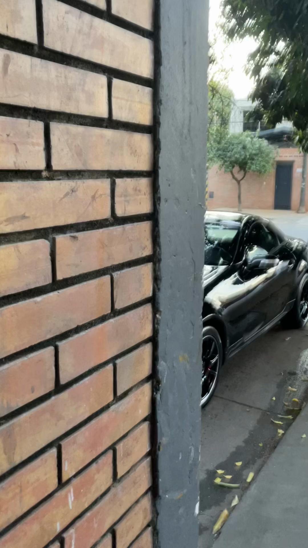 @Enzo Parra