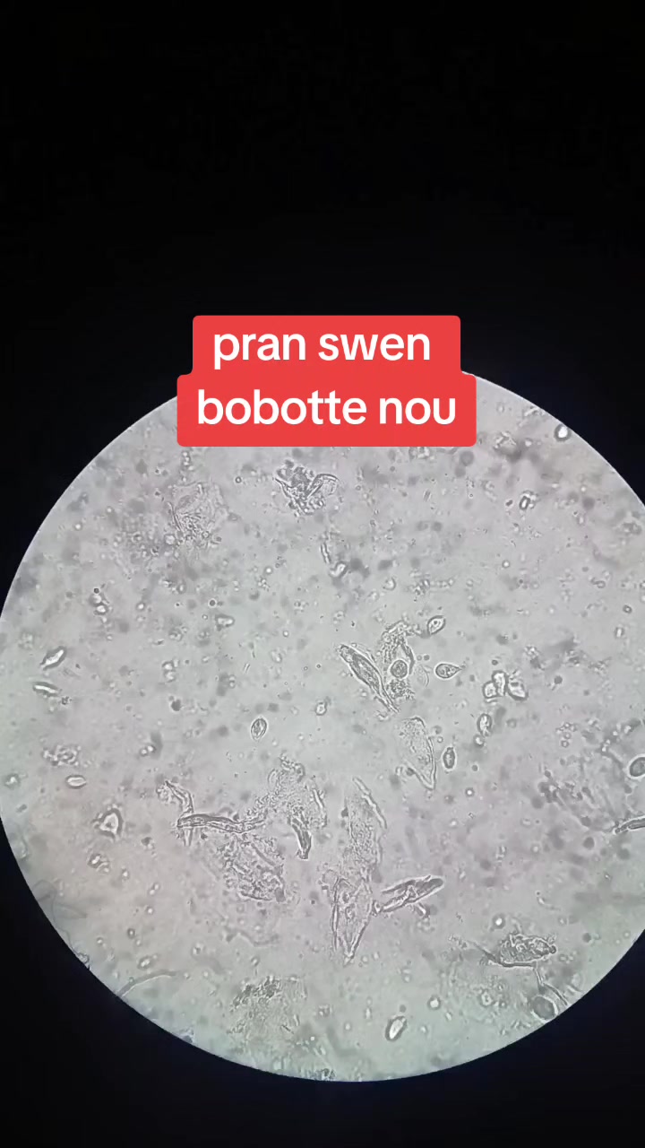 @Biologiste-Mompepe🔬💉😊
