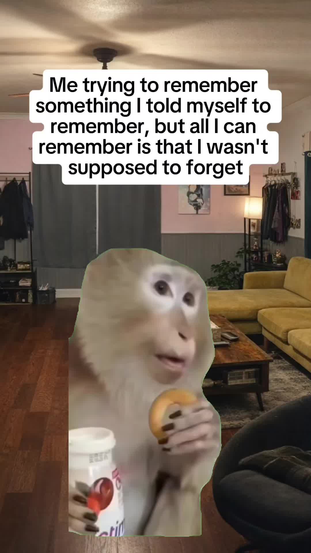 @sunshinebutspicy