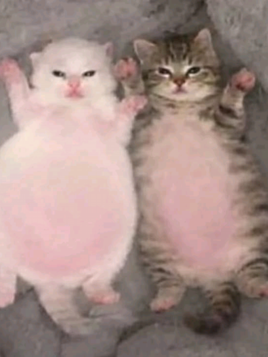 @Энн