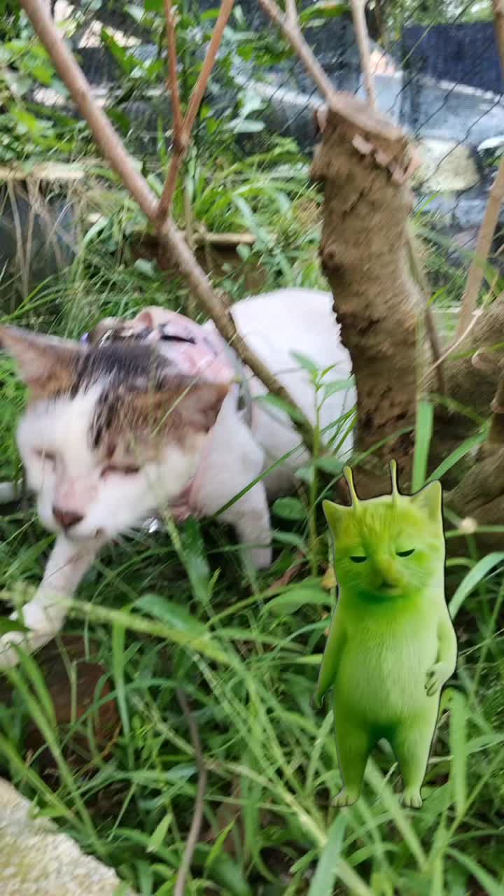 @k4m&iacute;🌱⊙⊖⊜
