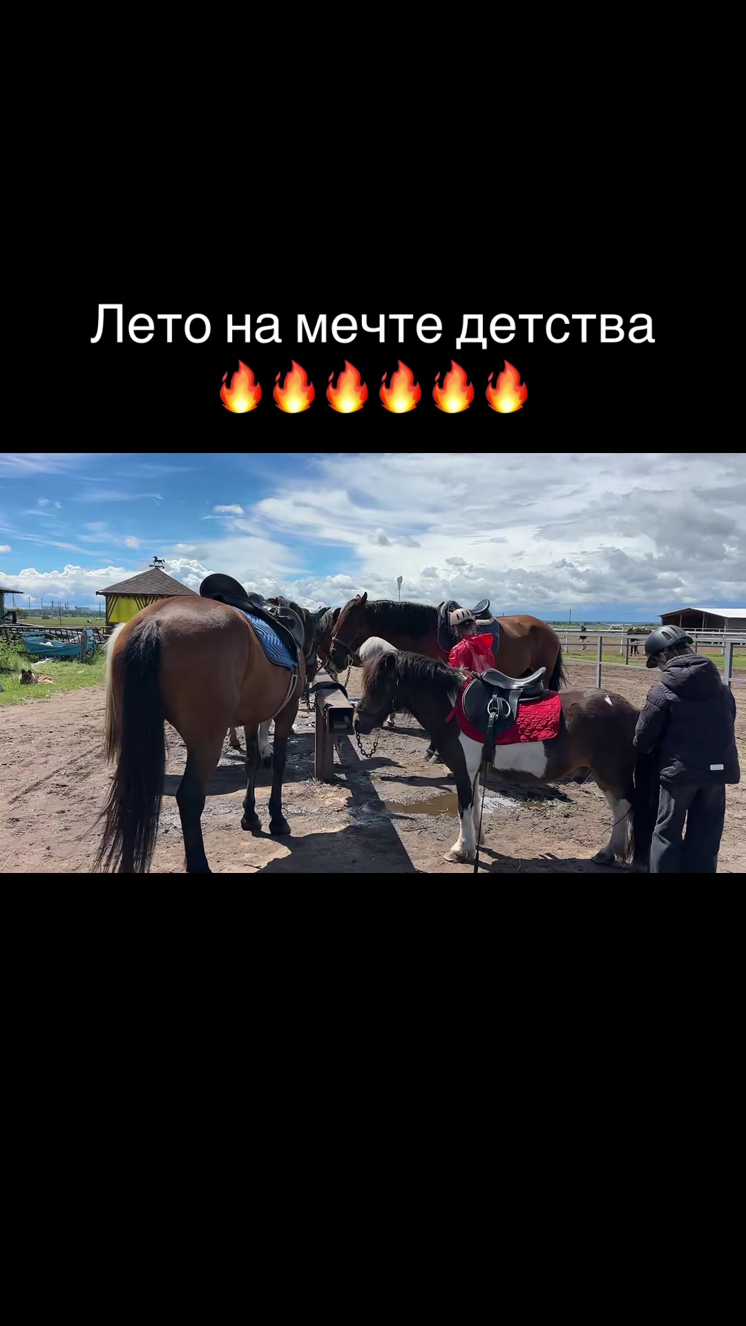 @Анастасия Чернявская.