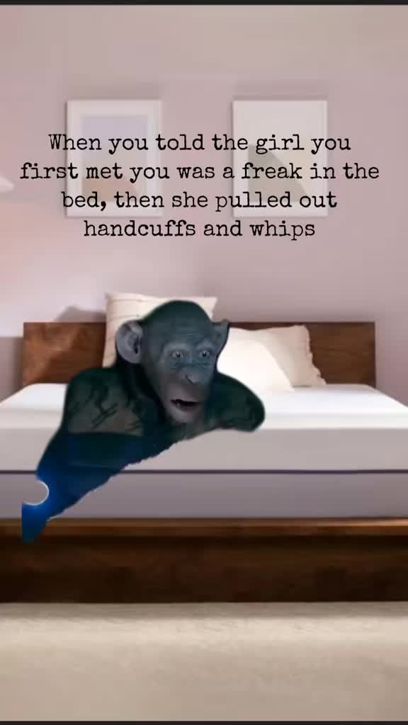 @funnystuff