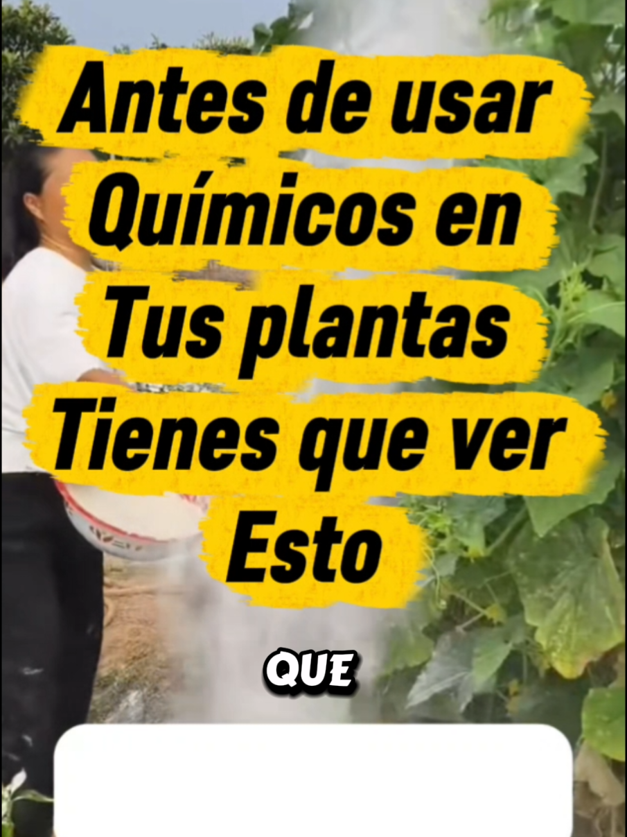 @Osshira| Jardineria y Huerto
