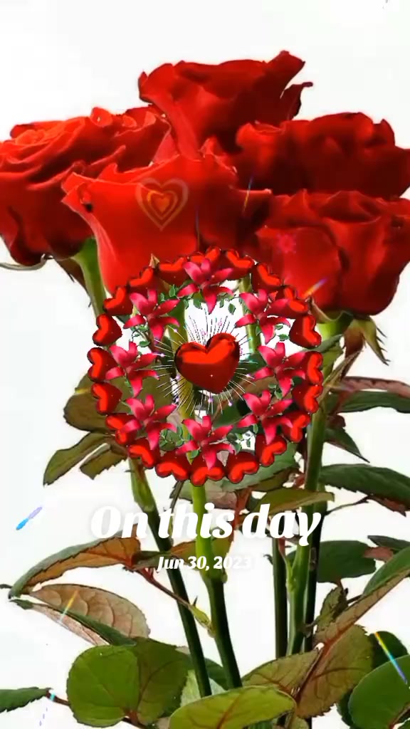 @Shafiqe Bai