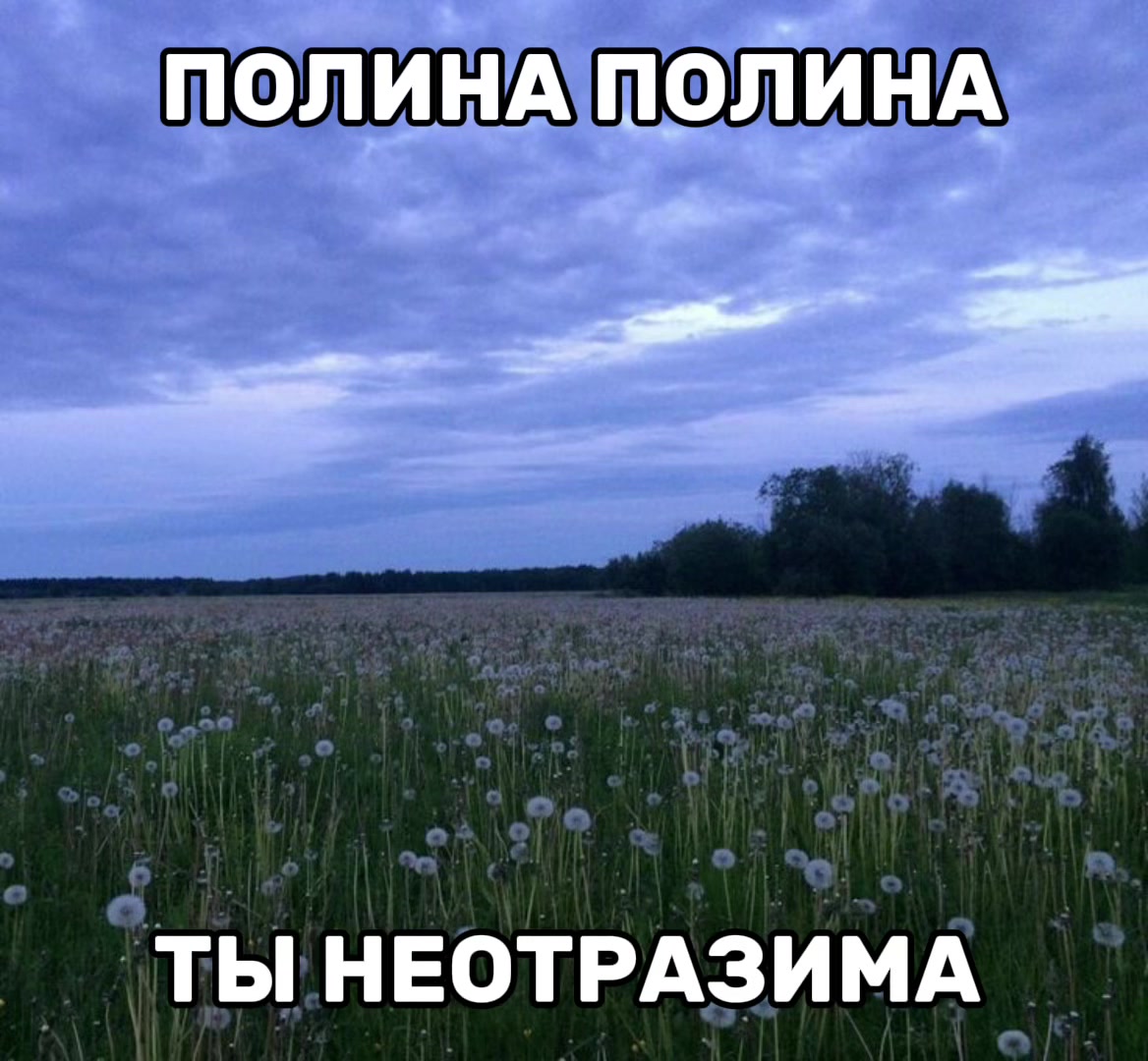 @люблю полину❤️