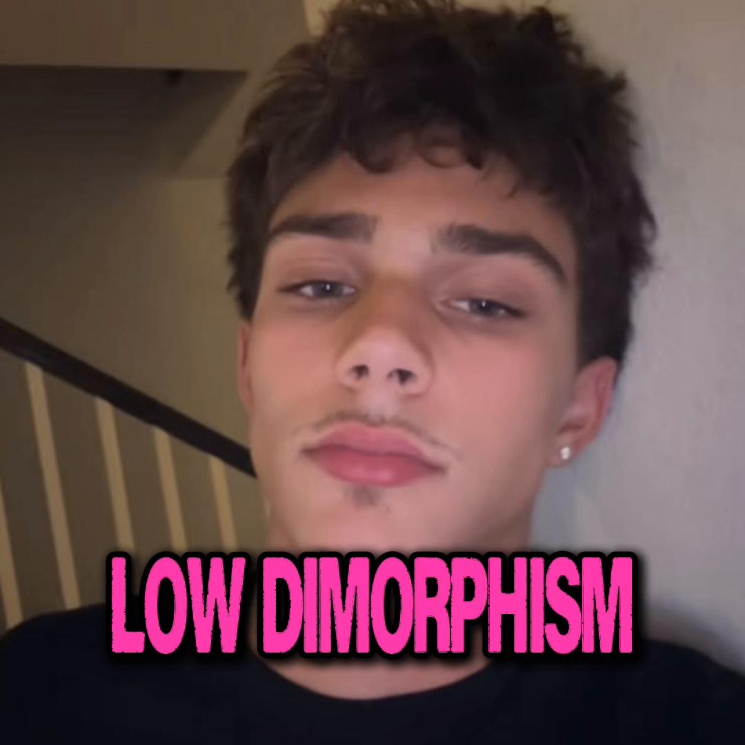 @Bomb