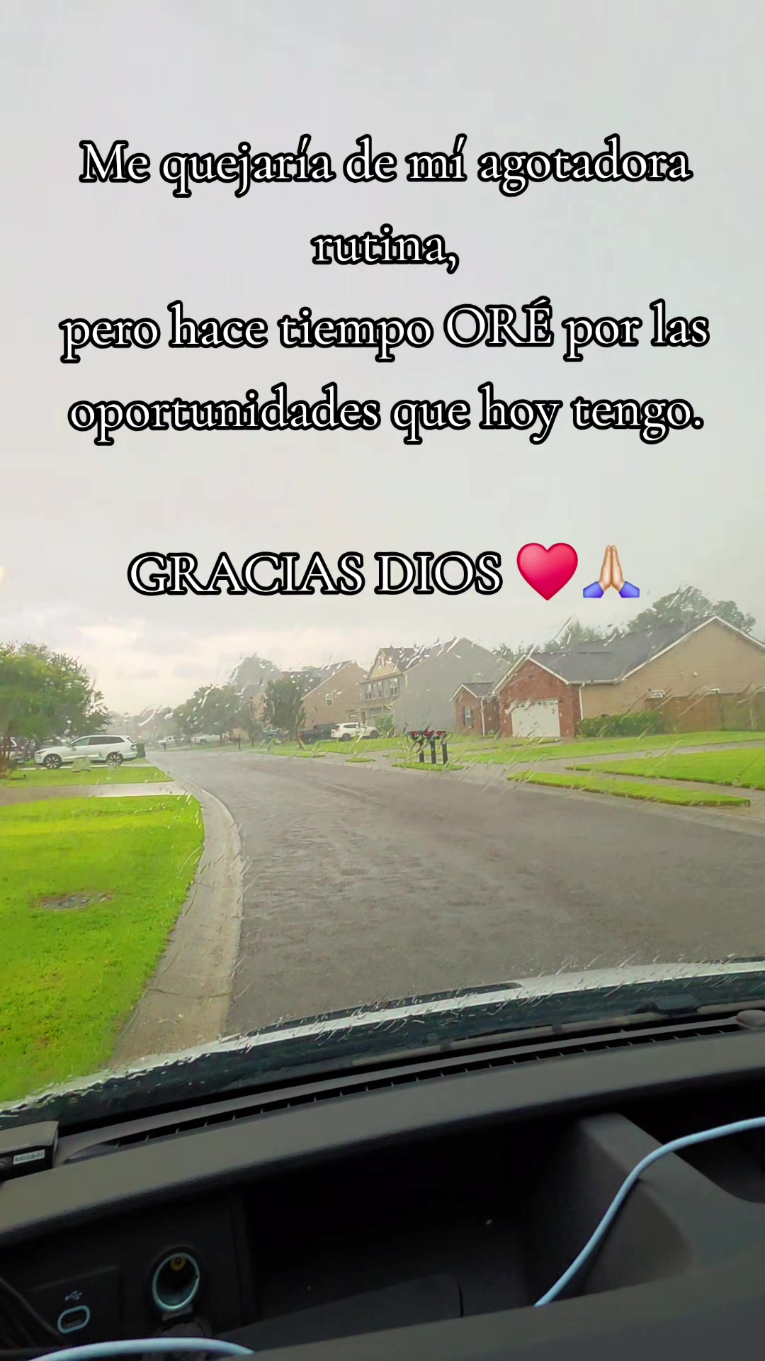@Margarita Estrada