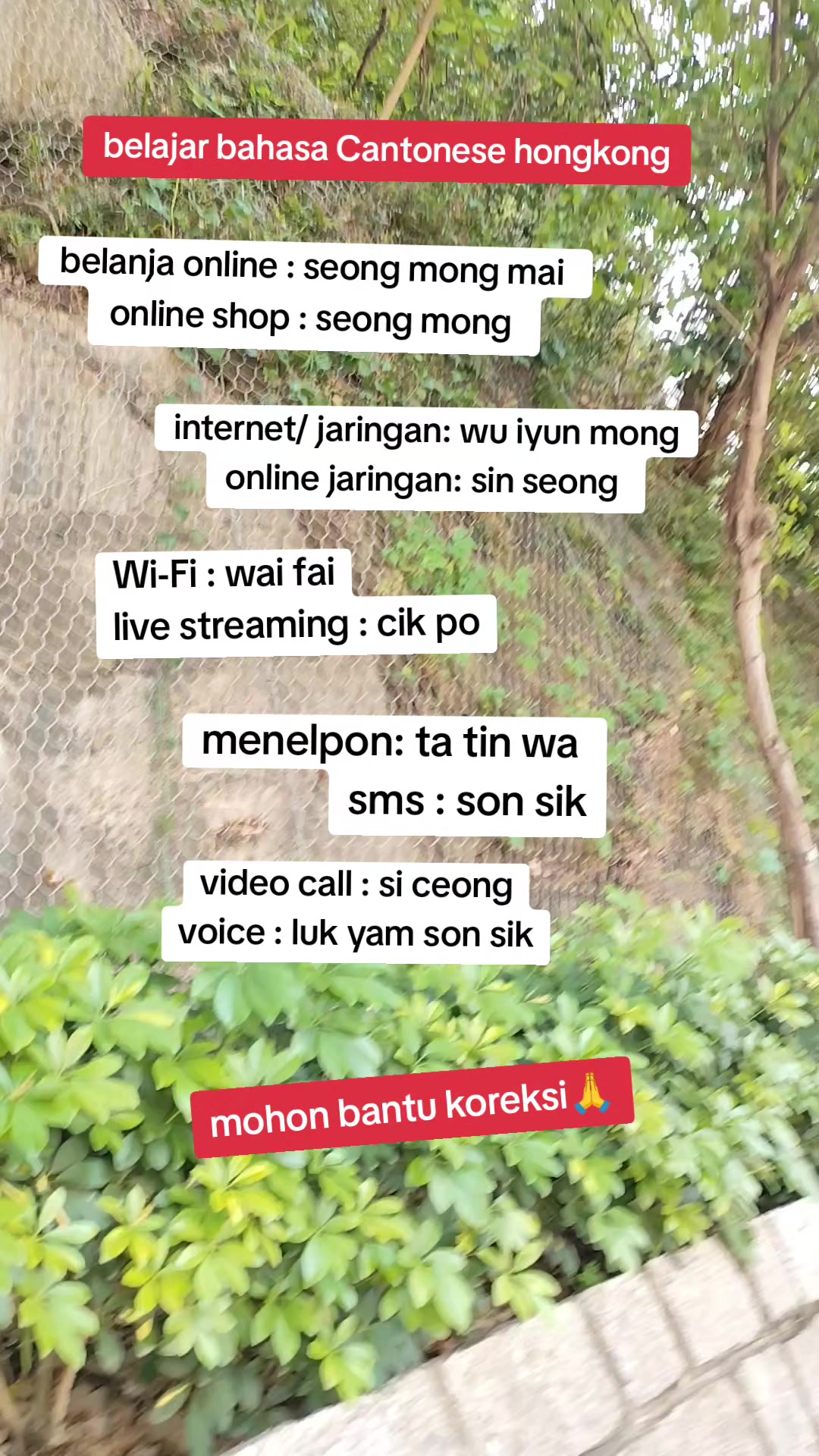 @YU PAH