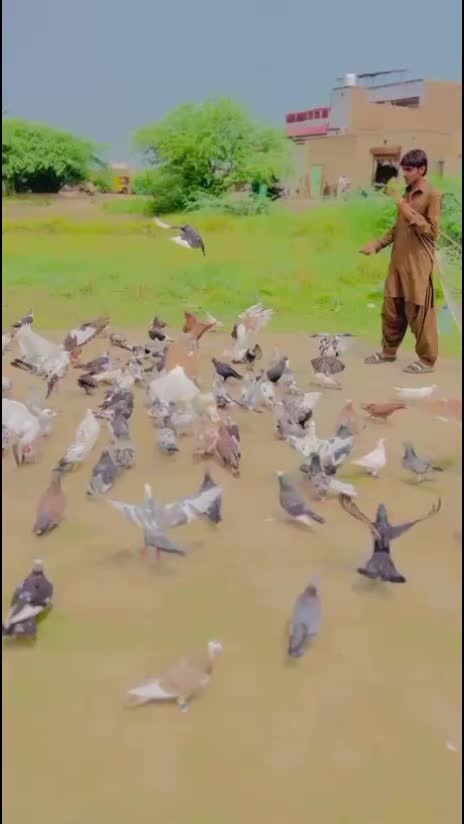 @Saad Panwar