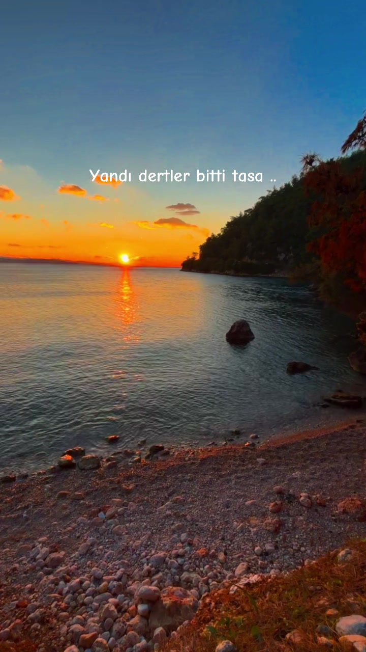 @gezentti