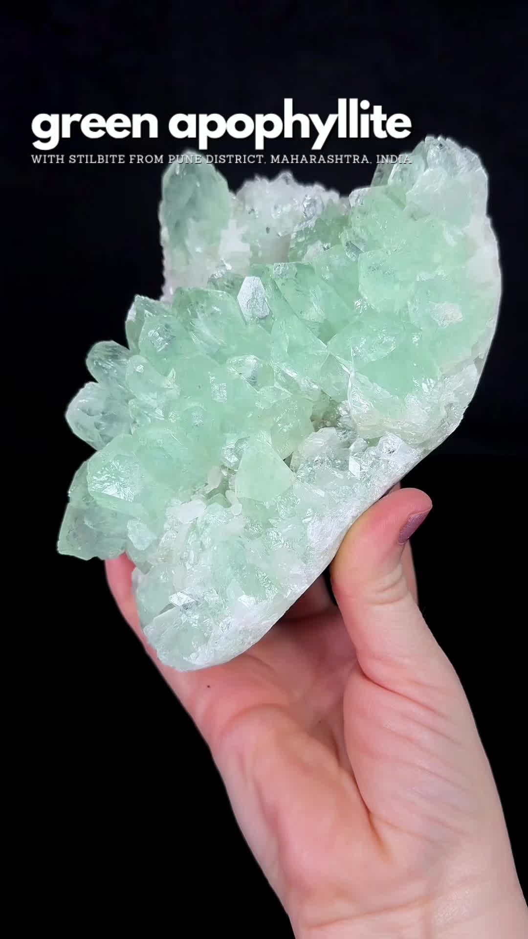 @Crystal Live Emporium✨Natalie