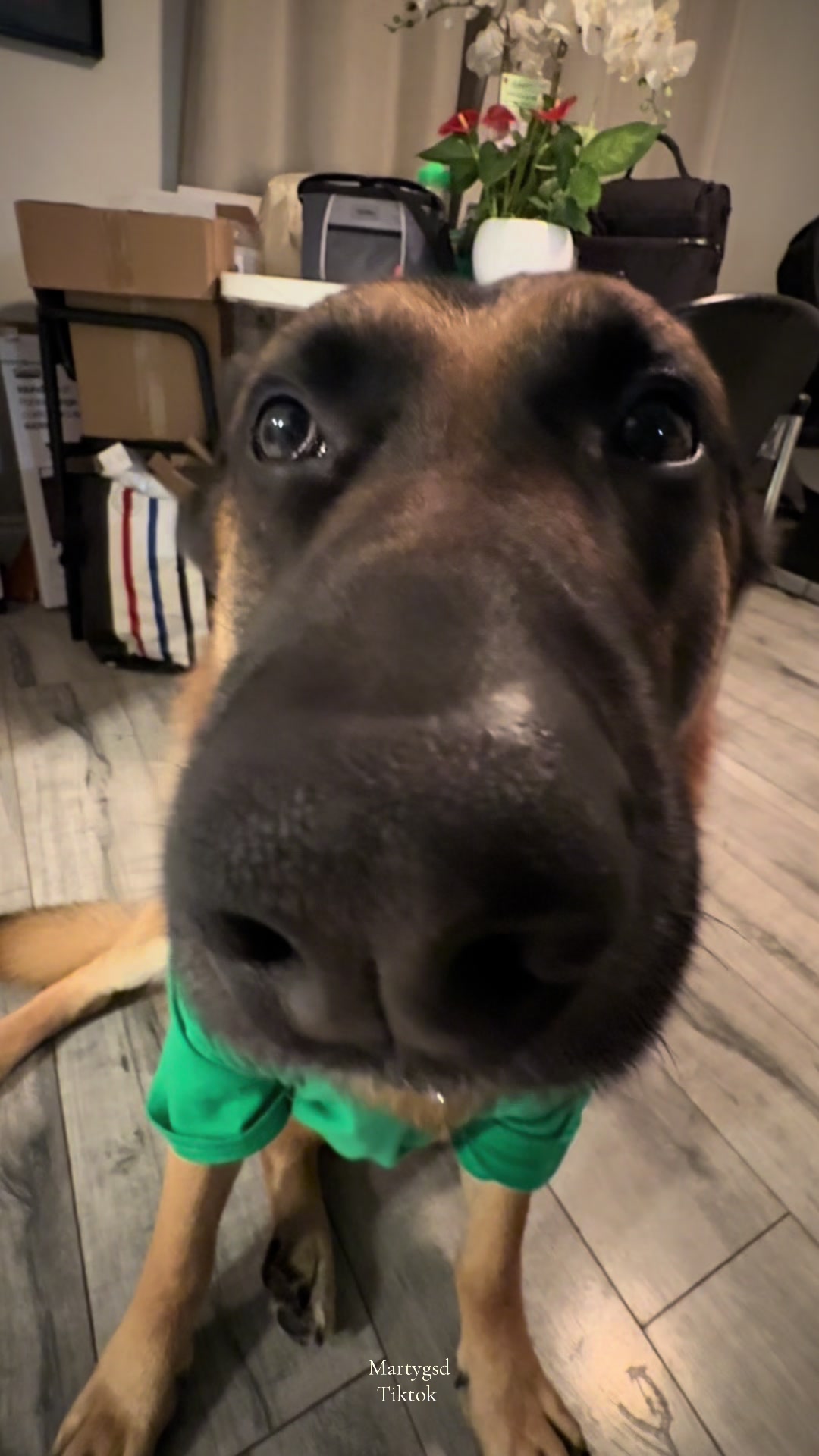 @Martygsd