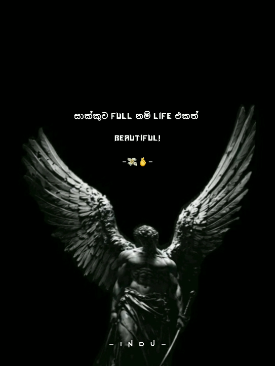 @โ ๐ ๐ ๐ ๐ | ๐๐ช"