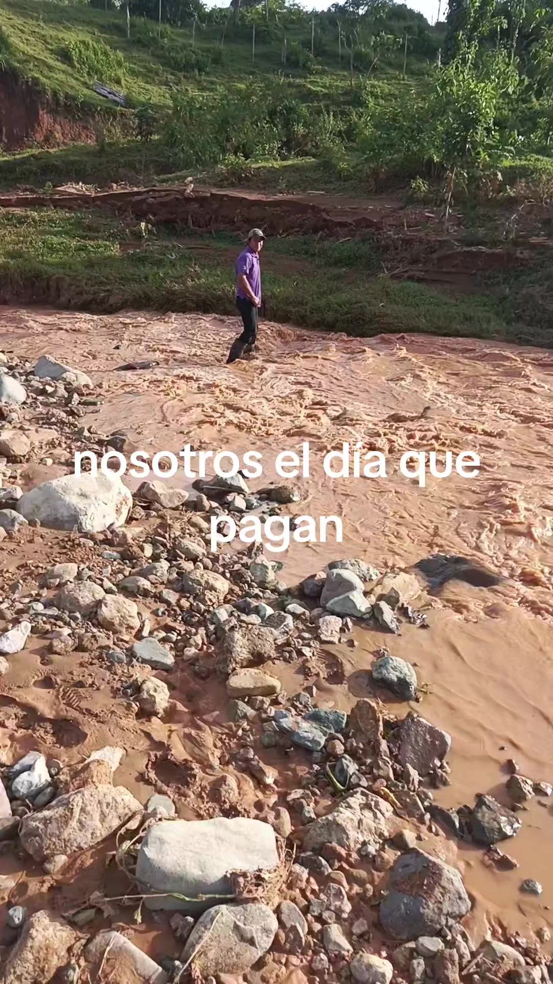 @Nelson Mendoza