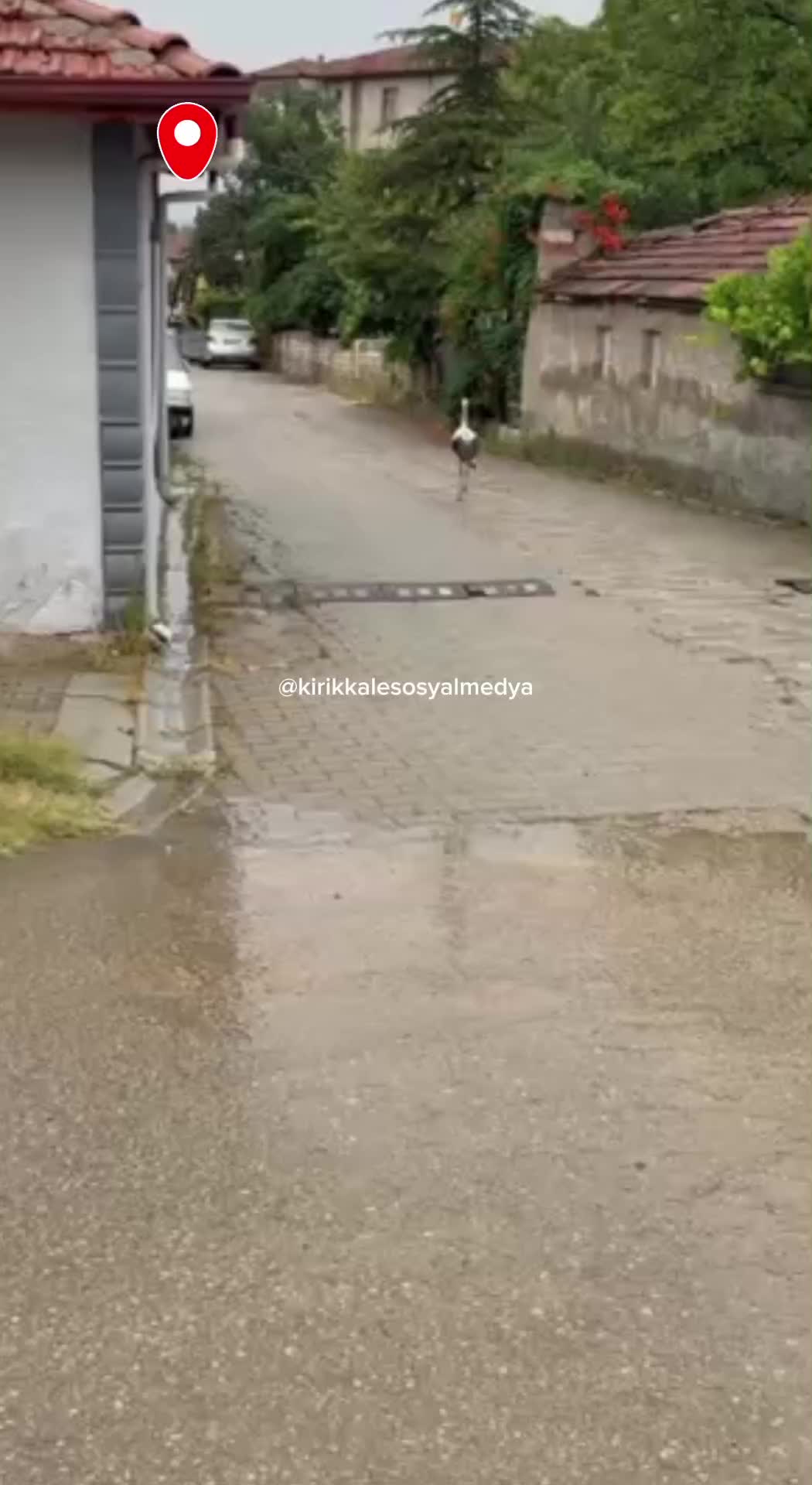@Kırıkkale Sosyal Medya