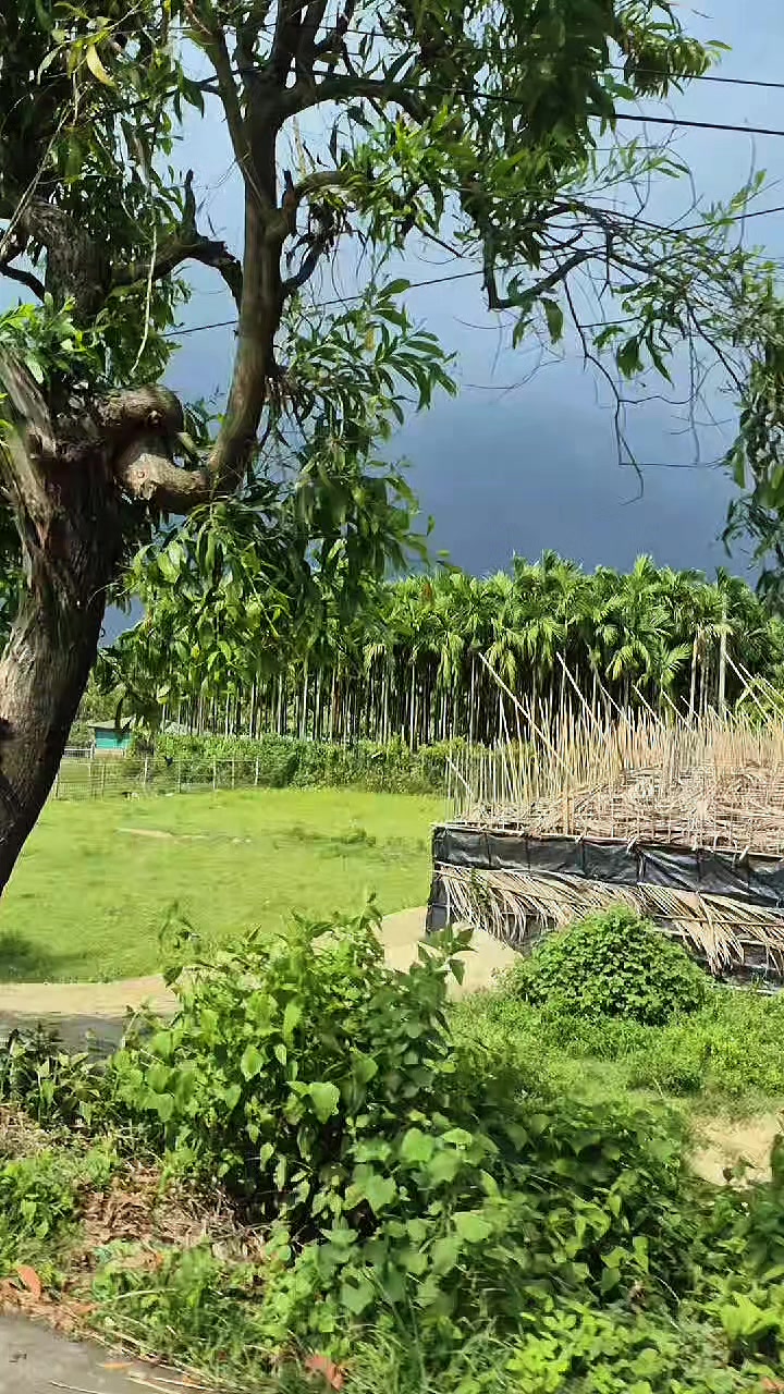 @Kotha0726