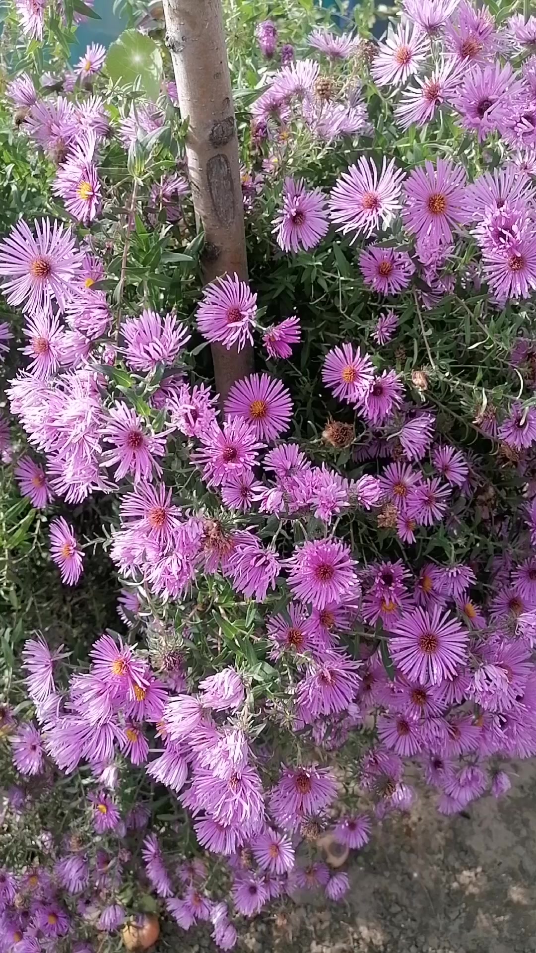 @Татьяна