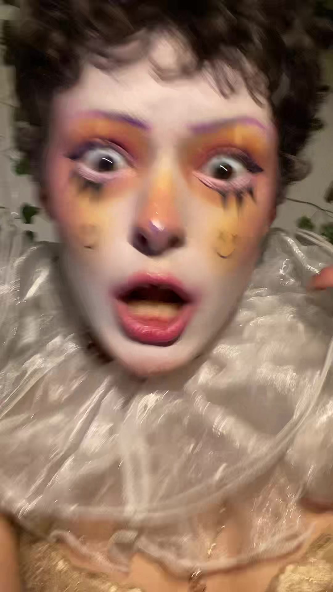 @bugsbackyard