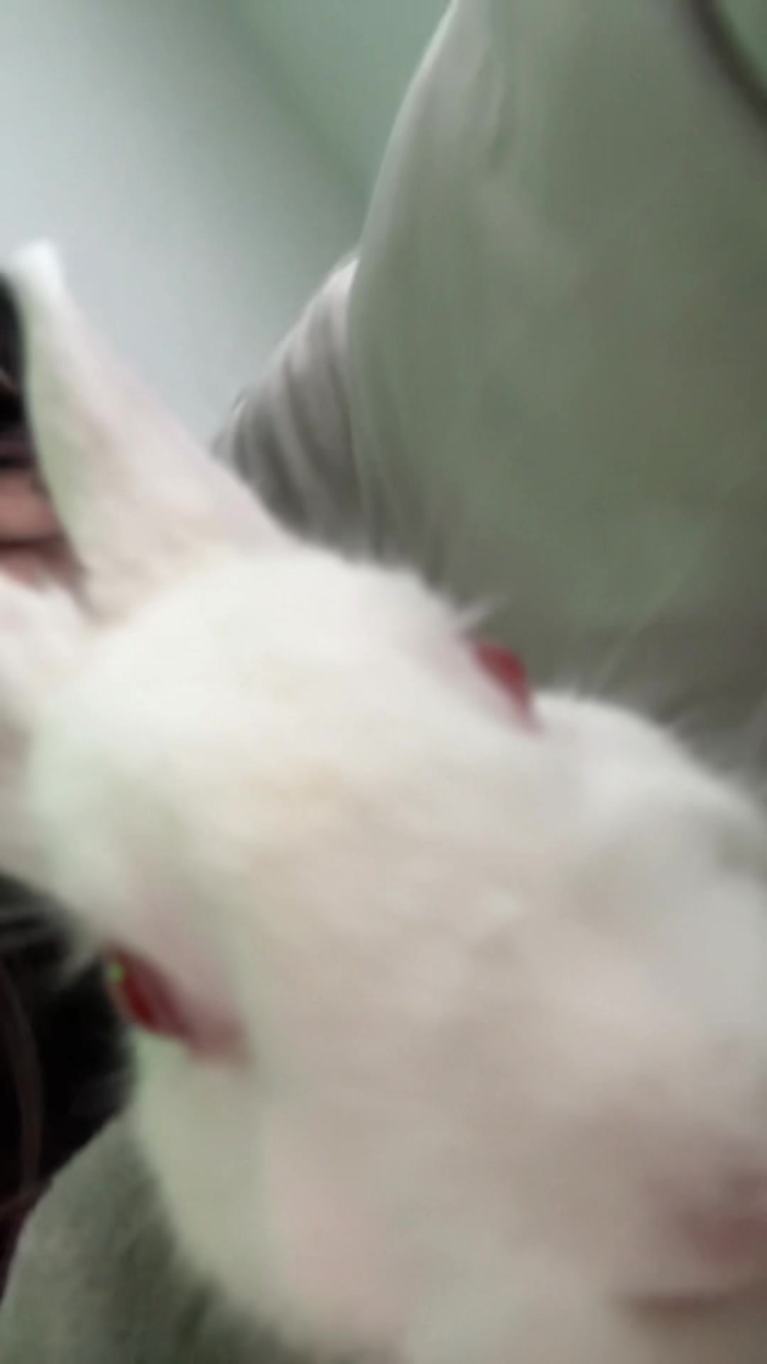 @ʂʅιɱҽ™ ⁽ˢʰʸˢᵗᵃˣ⁾