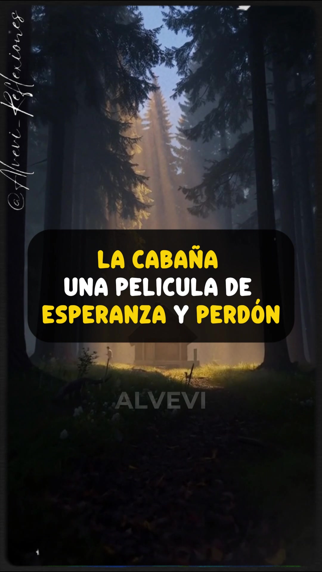 @Alvevi 🧠