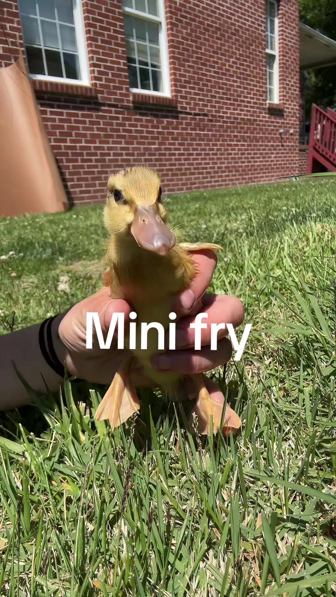 @~ Trinity Morgan ~