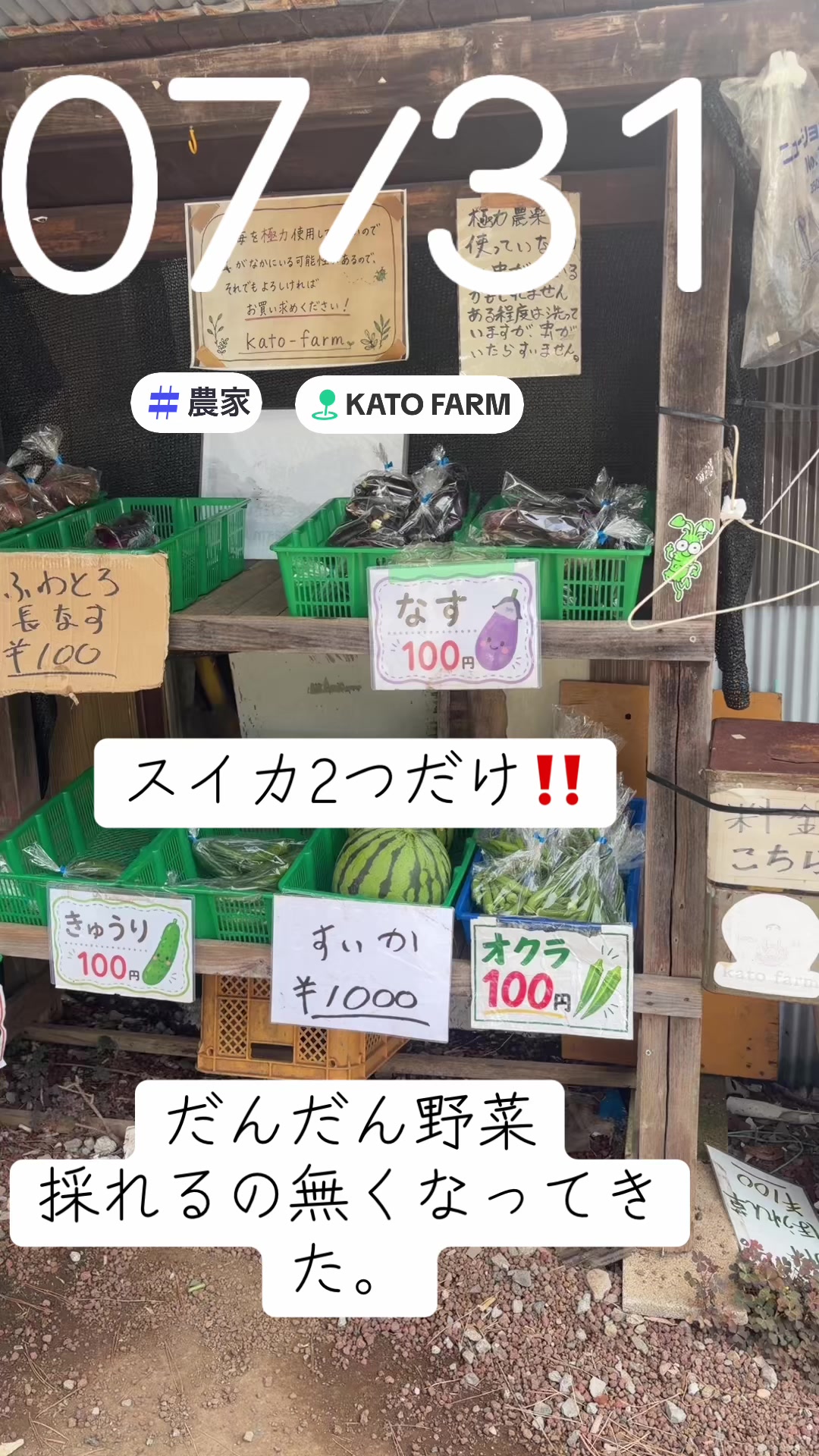 @🌞きょ子組ネキ🍆✋🌞