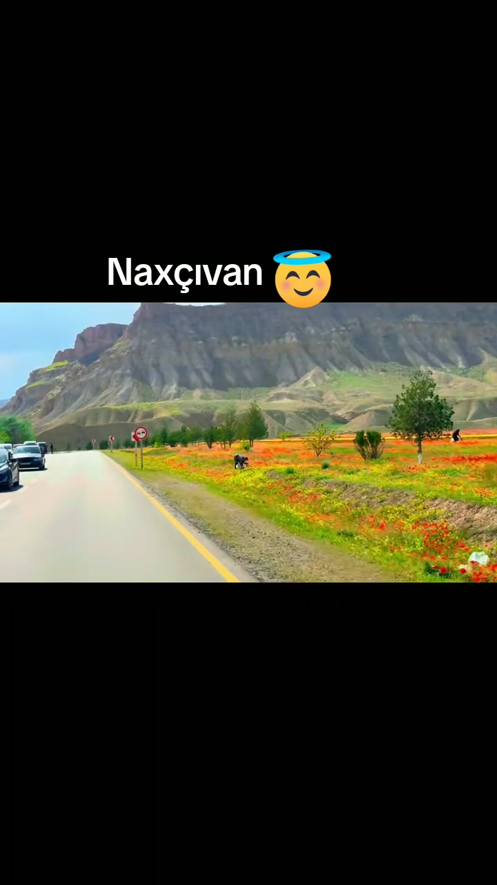 @Həsənova
