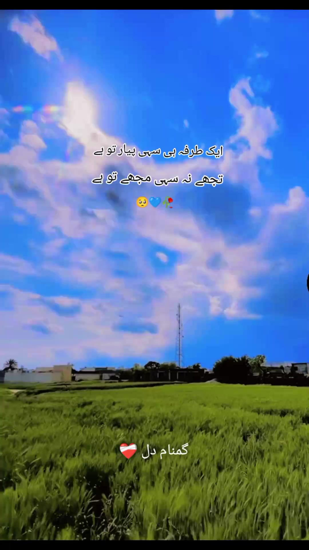 @گمنام دل❤️🩹