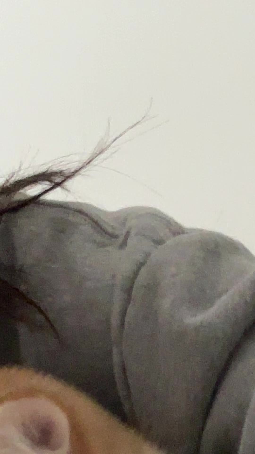 @Rosemii