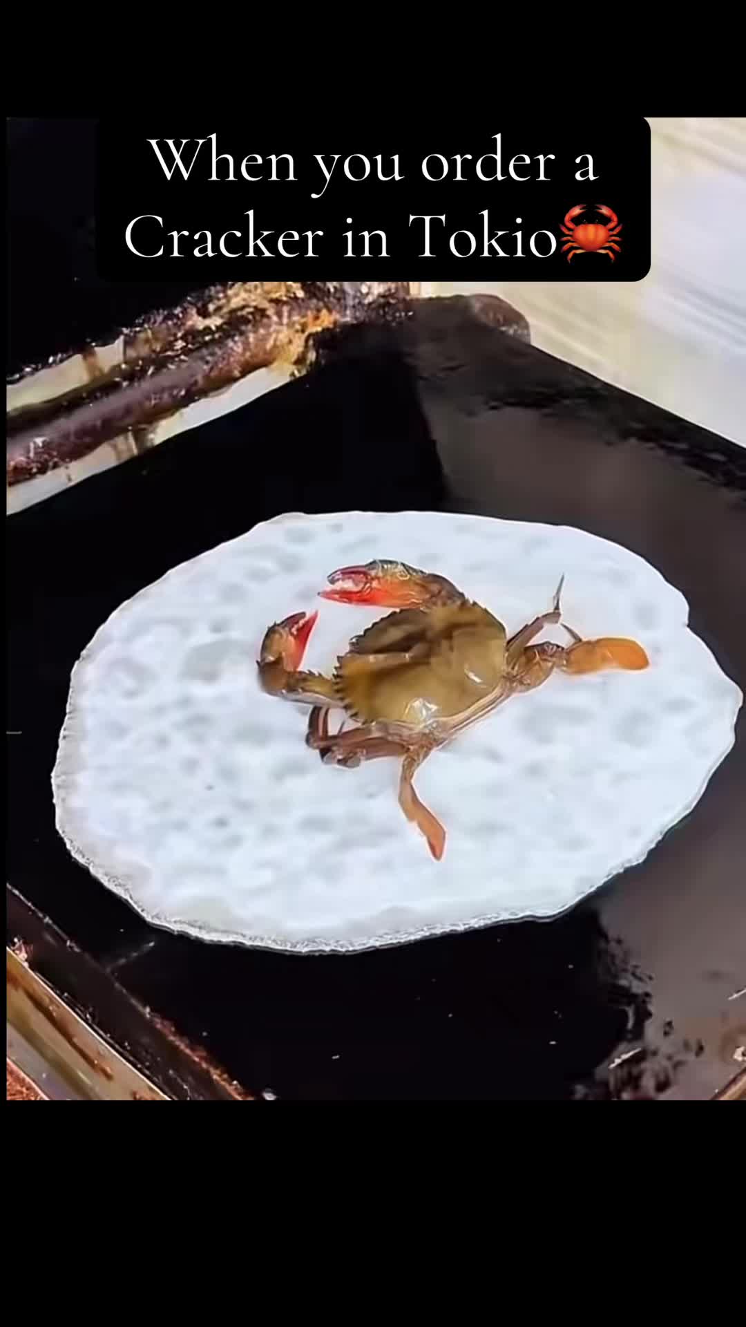 @Karene135