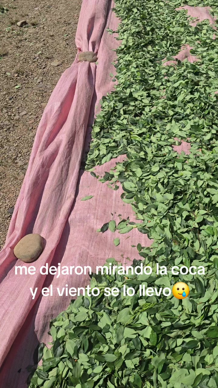 @García🤍