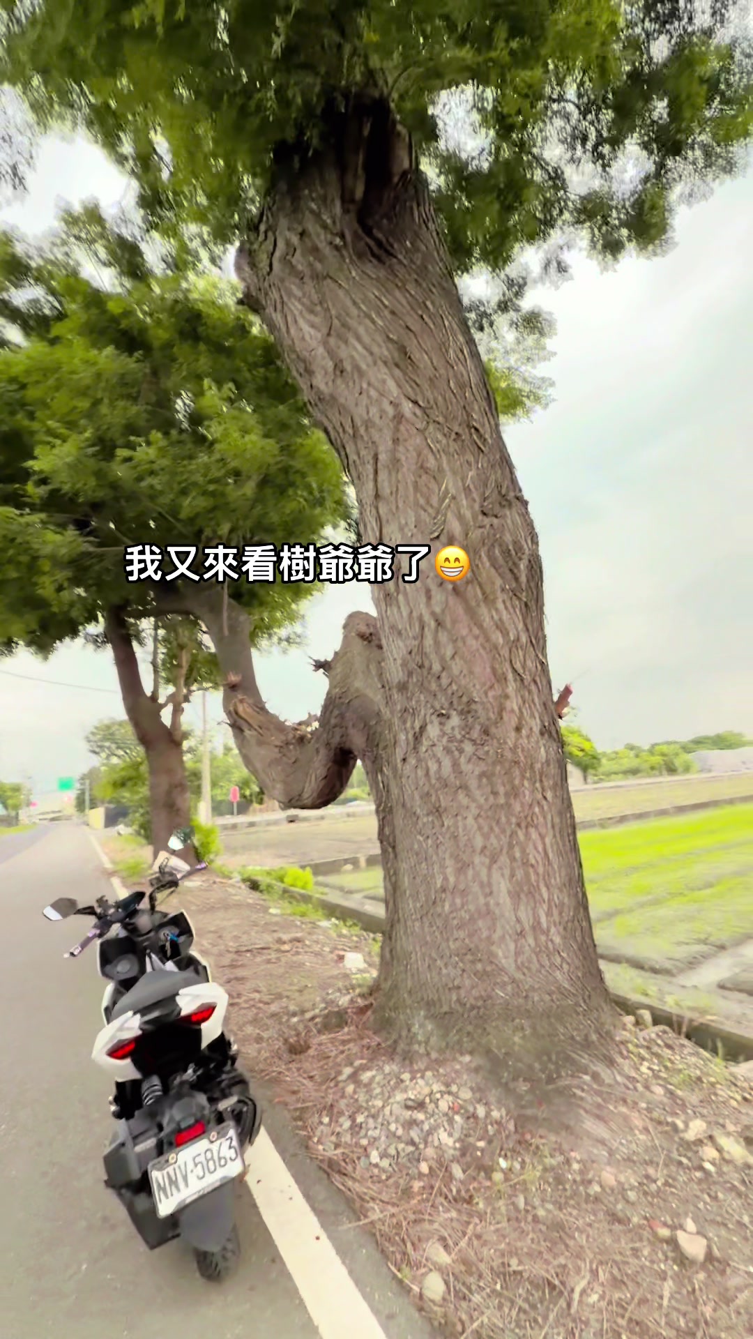 @自然~