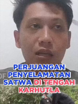 @Metro TV