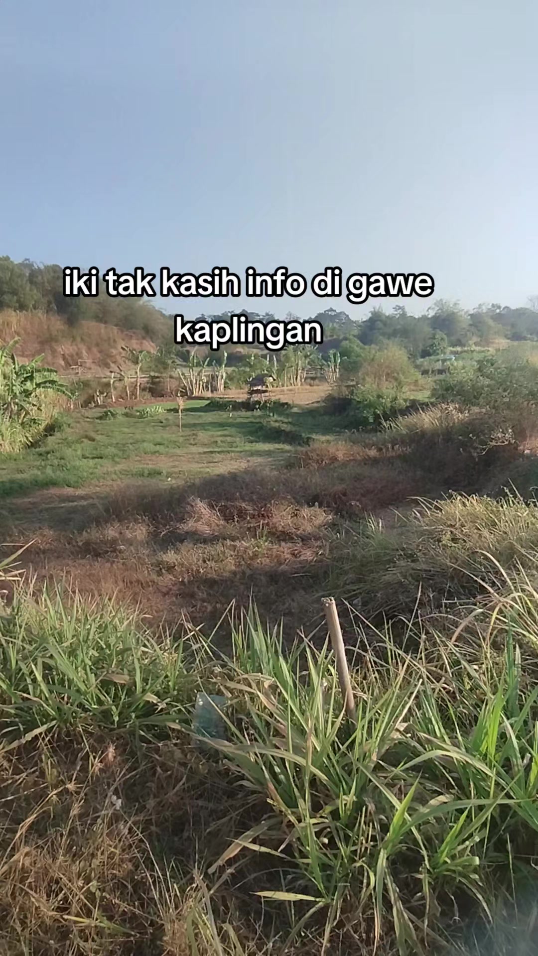 @saw_kill