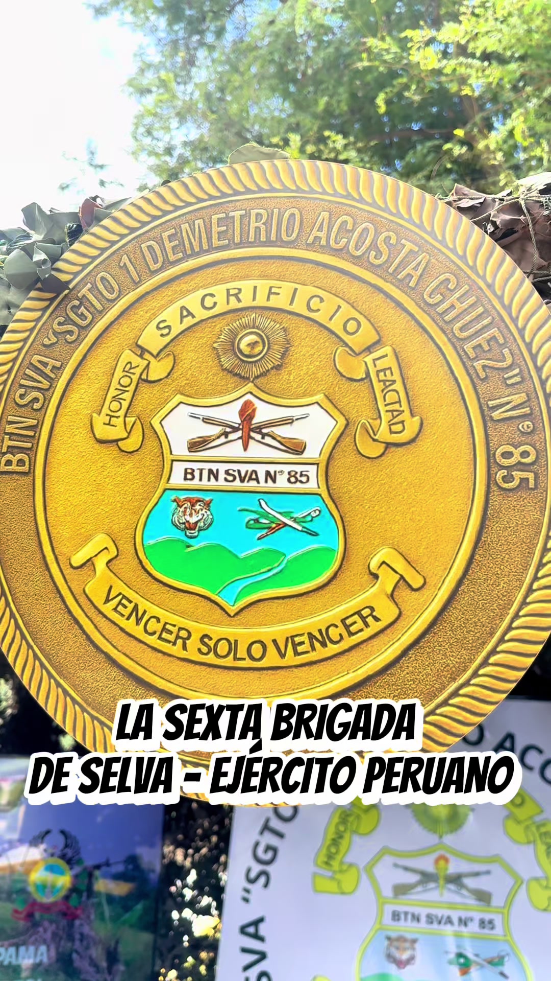 @Roiser Sánchez