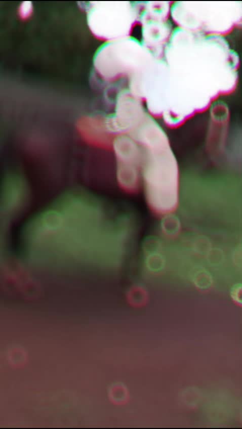 @🥷££¥son🫥🌛of🤬📿🌺saiver🥷