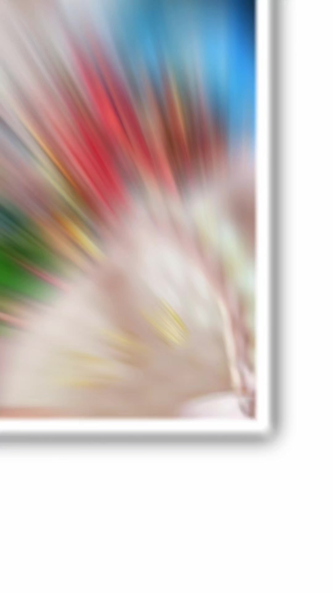 @𝓢𝓮𝓷𝓷