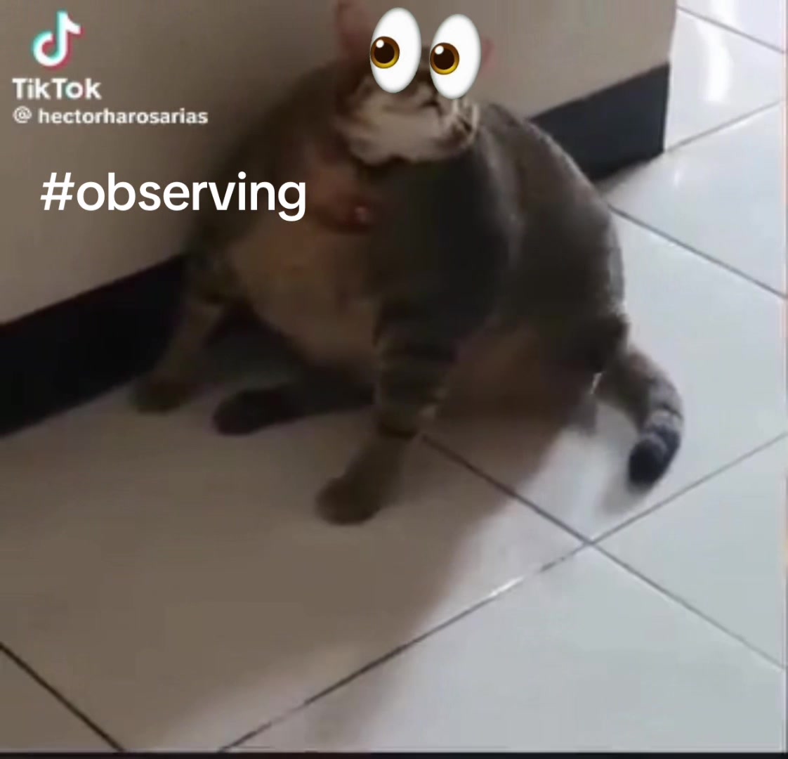 @∑(°口°๑)
