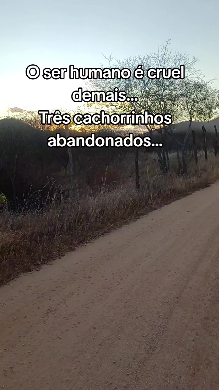 @Amante da natureza